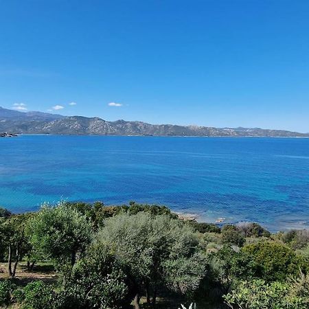 Appartement Sur La Baie De Saint Florent Patrimonio Buitenkant foto