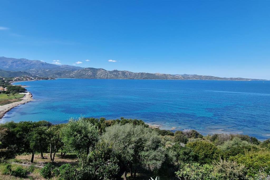 Appartement Sur La Baie De Saint Florent Patrimonio Buitenkant foto