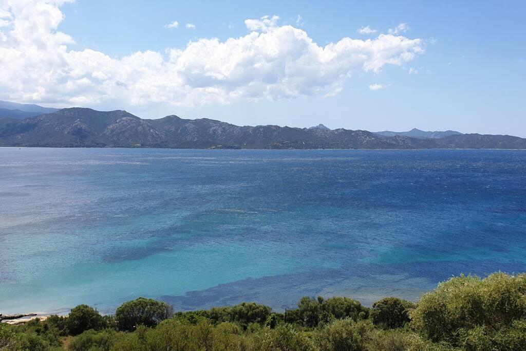 Appartement Sur La Baie De Saint Florent Patrimonio Buitenkant foto