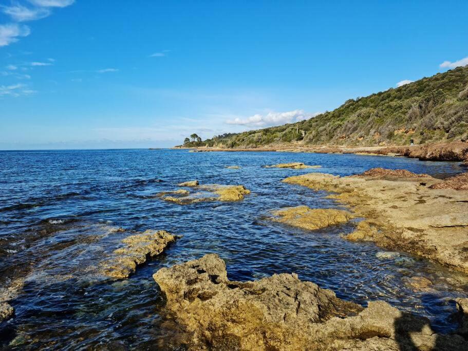 Appartement Sur La Baie De Saint Florent Patrimonio Buitenkant foto