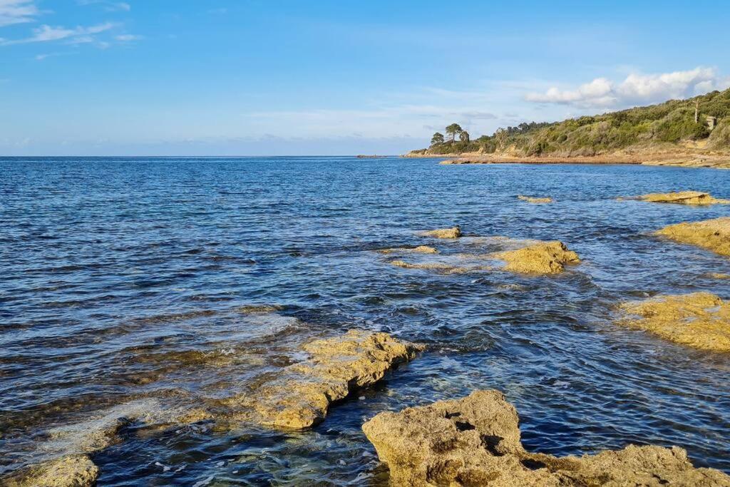 Appartement Sur La Baie De Saint Florent Patrimonio Buitenkant foto