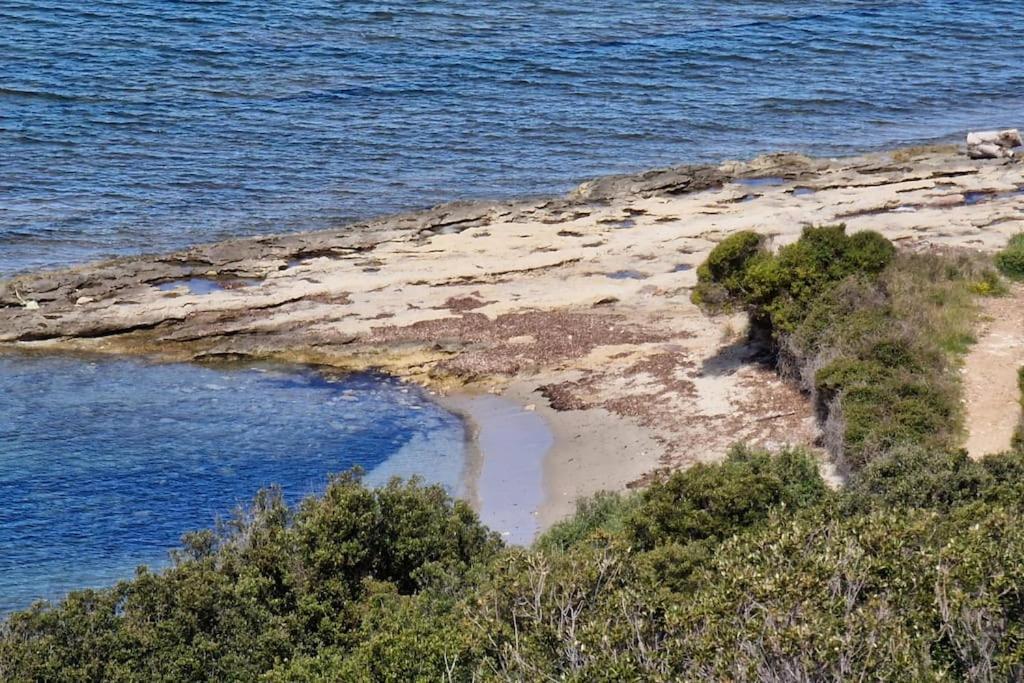Appartement Sur La Baie De Saint Florent Patrimonio Buitenkant foto