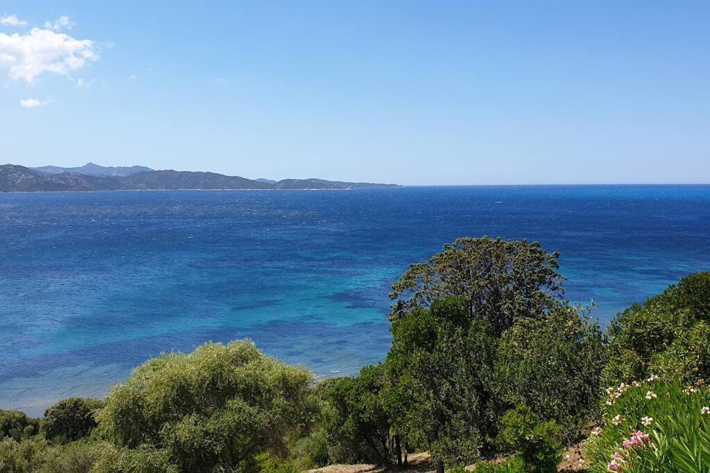Appartement Sur La Baie De Saint Florent Patrimonio Buitenkant foto