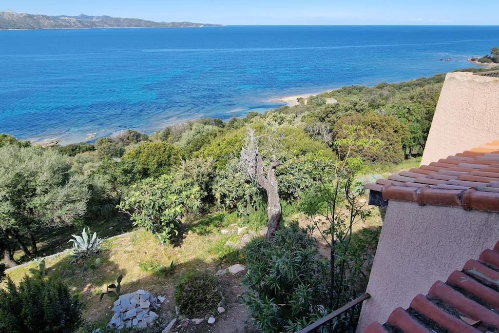 Appartement Sur La Baie De Saint Florent Patrimonio Buitenkant foto