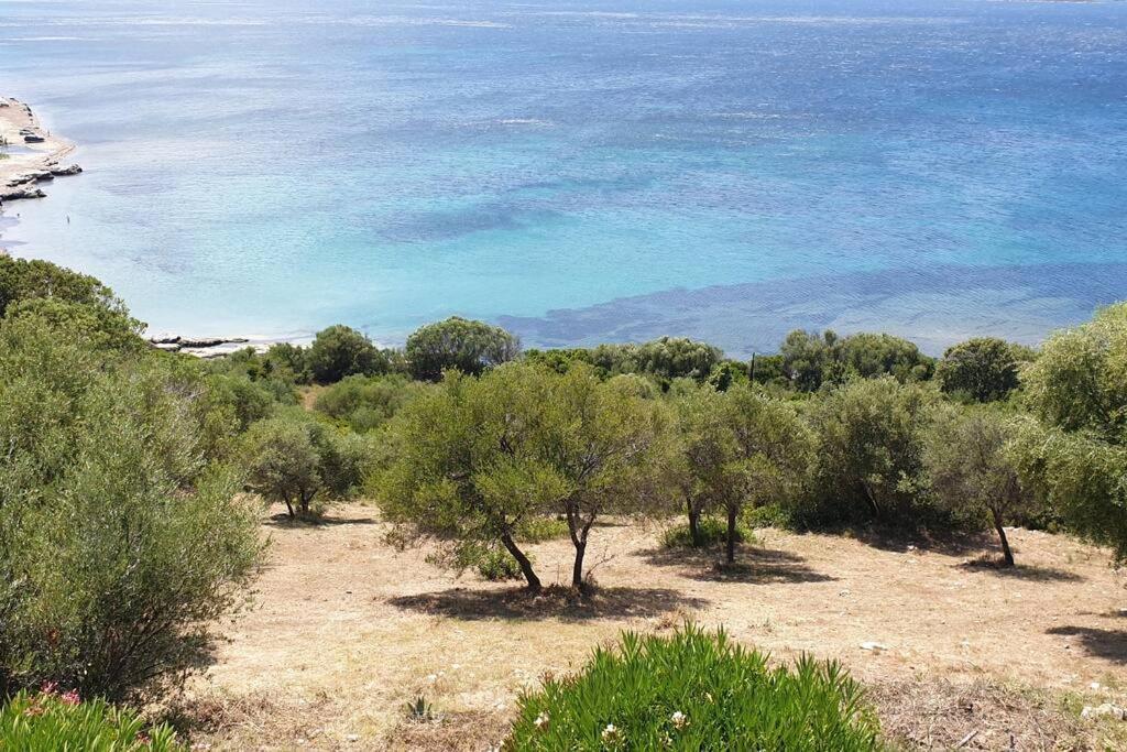 Appartement Sur La Baie De Saint Florent Patrimonio Buitenkant foto